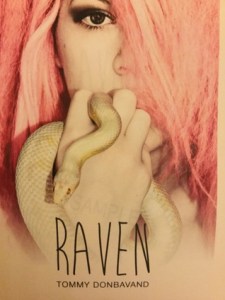 ravencover